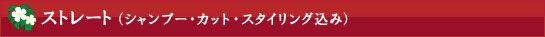 ストレート(シャンプー・カット・スタイリング込み)