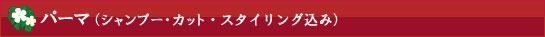 パーマ(シャンプー・カット・スタイリング込み)